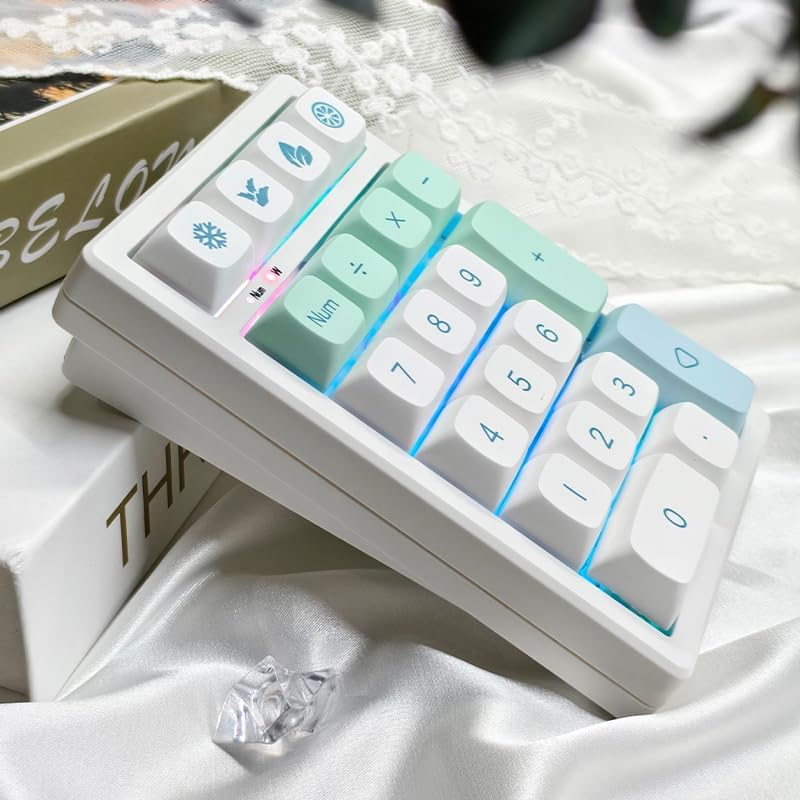 Boyi TD21 Hot Swap Numpad,21 Keys Mini Numpad Portable Keypad Bluetooth5.0/2.4G/Wired Number Pad Keyboard PBT Keycaps RGB Backlit Type-C Mini Keyboard (Mint XDA Keycaps) - Image 2